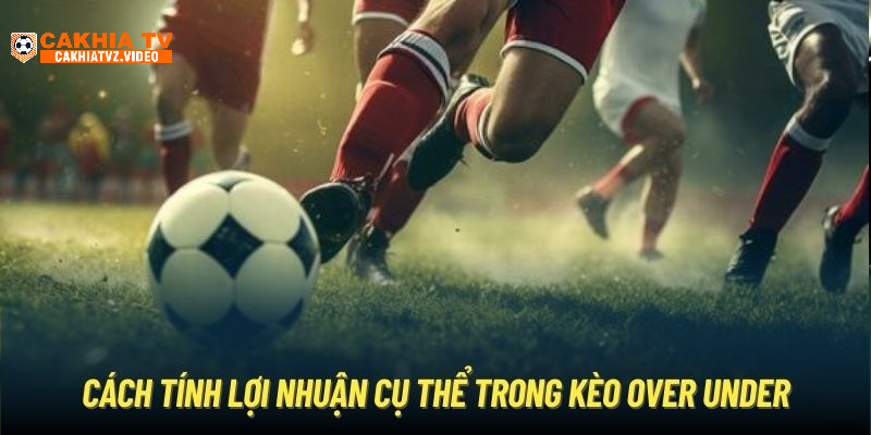 Cách tính lợi nhuận cụ thể trong kèo Over Under