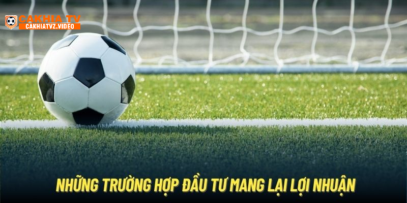 Những trường hợp đầu tư mang lại lợi nhuận