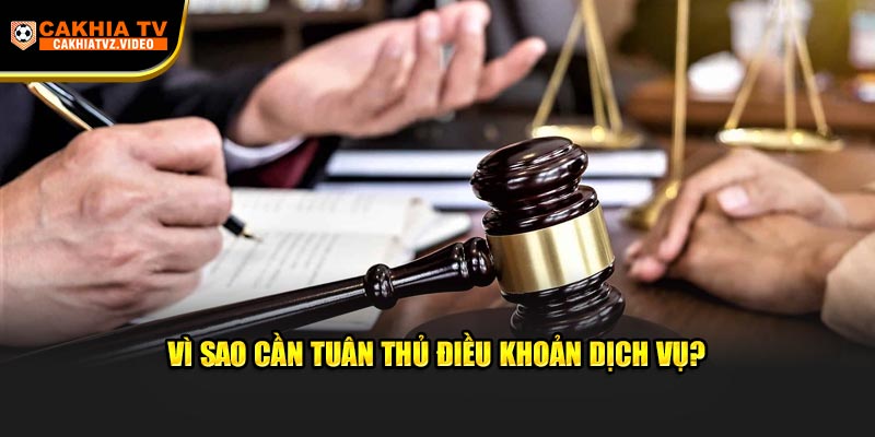 Vì sao cần tuân thủ điều khoản dịch vụ?