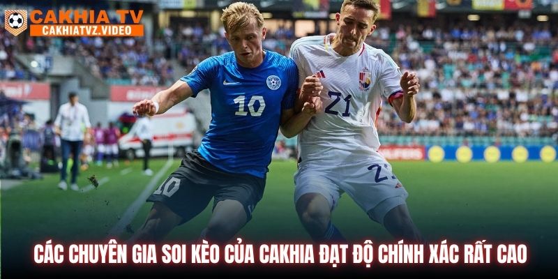 Các chuyên gia soi kèo của CAKHIA đạt độ chính xác rất cao