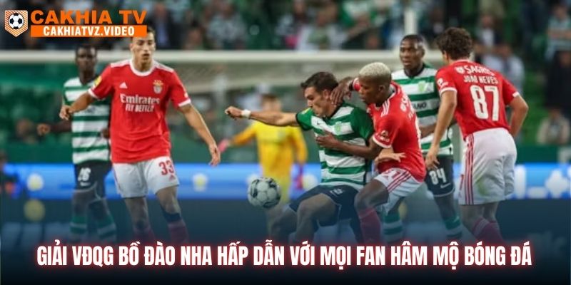 Giải VĐQG Bồ Đào Nha hấp dẫn với mọi fan hâm mộ bóng đá