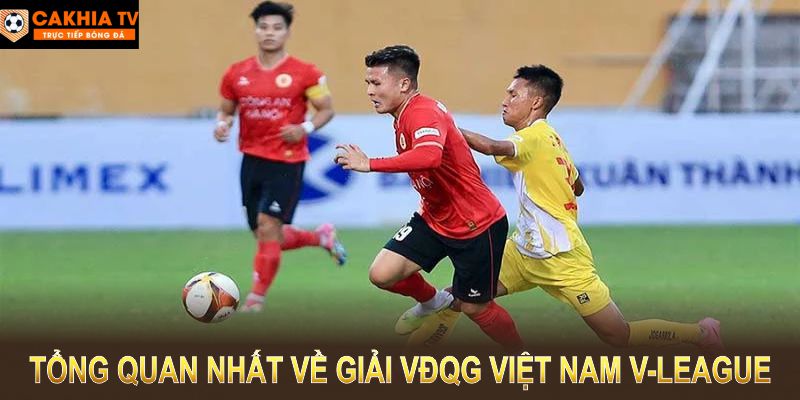 Tìm hiểu tổng quan nhất về giải VĐQG Việt Nam V-League